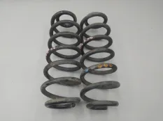 Пружины комплект задние Volkswagen Passat B6