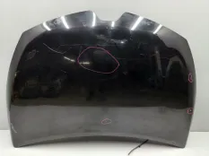 Капот Renault Lutecia RH