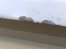 Крышка багажника Volkswagen Passat B7 2013 3AF827025A УНИВЕРСАЛ 365 2.0 TDI CFFB