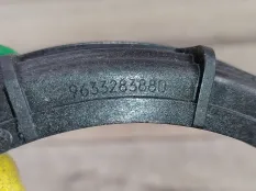 Гайка бензонасоса Peugeot 307 2006 153130 1.6 NFU TU5JP4