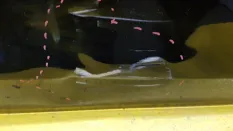 Дверь передняя правая Mercedes GLC X253 2015-2021