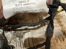 Подкапотная проводка Geely Monjaro KX11 2025
