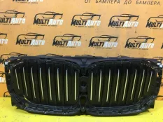 Решетка радиатора BMW X5 G05 2018-2021