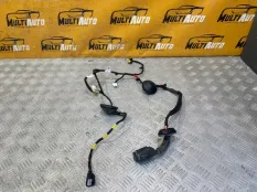 Проводка двери задняя левая Kia Seltos 1 G4NH 2.0
