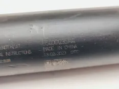 амортизатор багажника Exeed RX