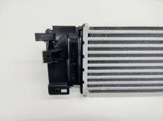 интеркулер Geely Monjaro