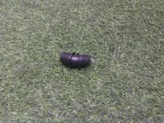 муфта угловая BMW 5