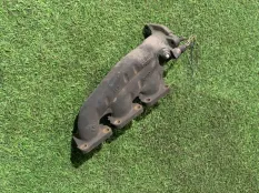 коллектор выпускной Audi A7