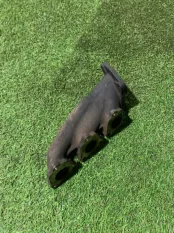 коллектор выпускной Audi A7