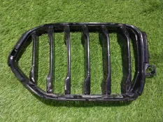 решетка радиатора BMW X5