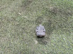 Крепление радиатора BMW X5 M 50D