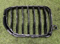 решетка радиатора BMW X5