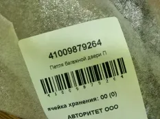 Петля крышки багажника BMW 4-Series 41009879264 G22, правая