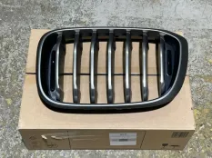 Решетка радиатора BMW X3 51135A10A03 G01, левая