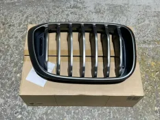 Решетка радиатора BMW X3 51135A10A04 G01, правая