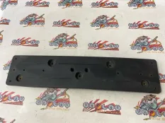 Кронштейн номерного знака BMW F30 51117279708