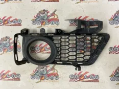 Решетка в бампер BMW F30 51118062635, передняя левая