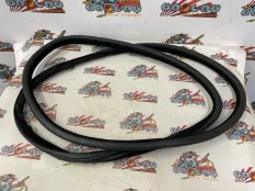 Уплотнительная резинка боковой двери BMW F15 03.2014 51727289689 КРОССОВЕР N57D30A, задняя