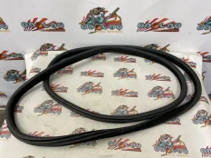 Уплотнительная резинка боковой двери BMW F15 03.2014 51727289610 КРОССОВЕР N57D30A, передняя
