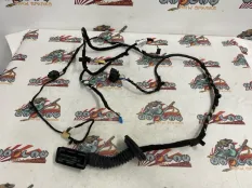 Проводка двери BMW F48 29.07.2016 61126812218 B48O, задняя