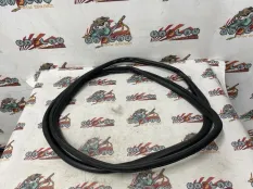 Уплотнительная резинка боковой двери BMW E83 06.09.2007 51723449349 КРОССОВЕР N52K, задняя