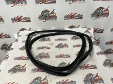 Уплотнительная резинка боковой двери BMW E83 06.09.2007 51723449349 КРОССОВЕР N52K, задняя