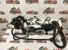Проводка двигателя BMW E46 12517555996 N46B20