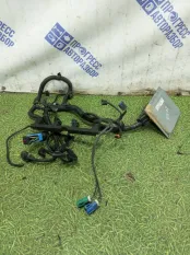 Проводка двигателя Ford Focus 2+ ХЭТЧБЕК 1.6 SHDA