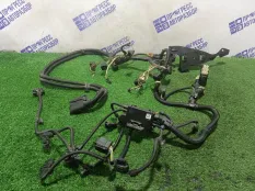 Проводка ДВС BMW F10 2.0 N20B20A