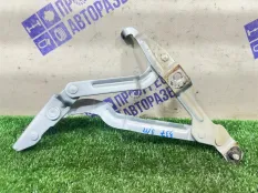 Петля крышки багажника задняя правая Volkswagen