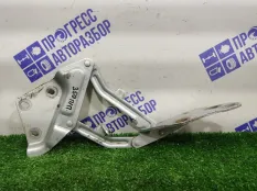 Петля капота передняя правая Volkswagen Touareg