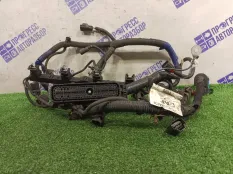 Проводка ДВС Ford Focus 2+ СЕДАН 1.6 SIDA 2010
