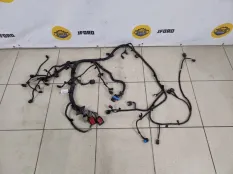 Проводка на двигатель Ford Kuga 2011 1698764 CBV 2.0 D TXDA