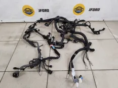 Проводка на двигатель Toyota RAV4 2021 8212142N70 AXAL52 2.5 A25A-FXS