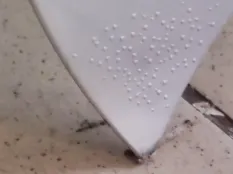 Капот Toyota Land Cruiser Prado 2020 5330160760 J150