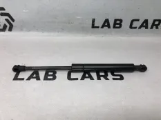 Амортизатор капота BMW x5 E53 M54 306S3 3.0I