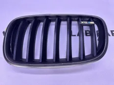 Решетка радиатора передняя левая BMW X5 E70 M57TU2