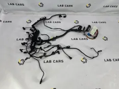 Проводка двигателя BMW X5 E70 M57TU2 306D3 3.0D
