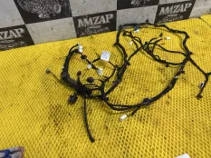 Проводка крышки багажника EXEED LX 1.6 SQRF4J16