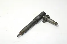 Топливная форсунка DAF XF95 (01.02-12.06)