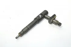 Топливная форсунка DAF XF95 (01.02-12.06)