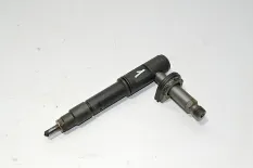 Топливная форсунка DAF XF95 (01.02-12.06)