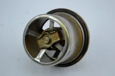 Термостат DAF XF95 (01.02-12.06)