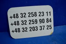 Дверца бардачка кабины наружняя, левая IVECO Stralis (01.02-)