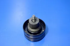 Ролик-натяжитель DAF XF105 (01.05-)