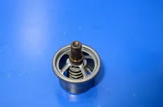 Термостат DAF XF105 (01.05-)