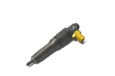 Топливная форсунка DAF XF105 (01.05-)