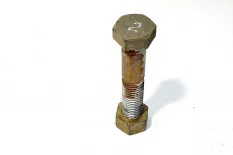 Крепежный болт RENAULT TRUCKS T (01.13-)