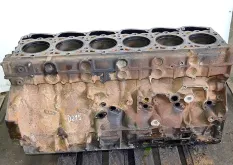 Блок двигателя DAF XF105 (01.05-)