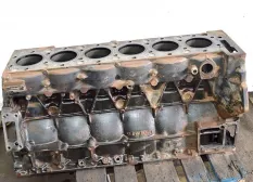 Блок двигателя MAN TGS (01.07-12.21)